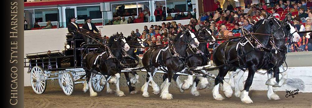 Chicago Style Harness