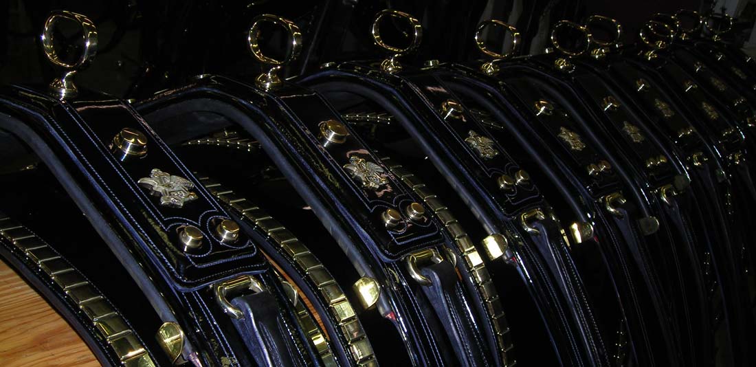 Chicago Style Harness